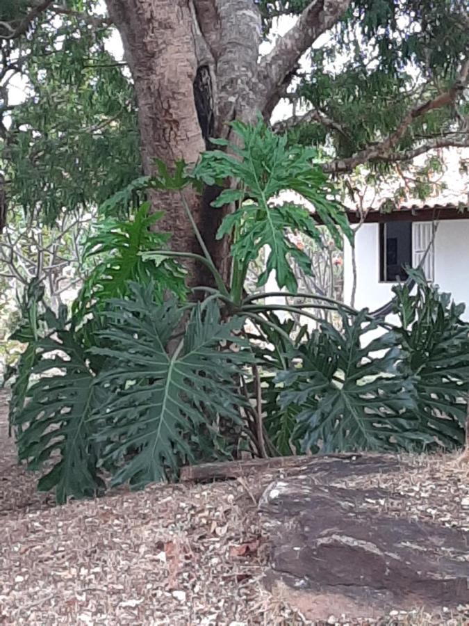 Estancia Morro Do Frota Pirenópolis Εξωτερικό φωτογραφία